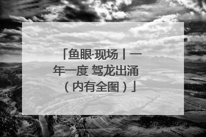 鱼眼·现场丨一年一度 驾龙出涌（内有全图）