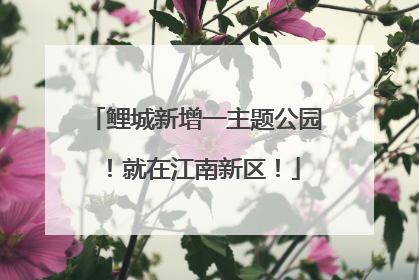 鲤城新增一主题公园！就在江南新区！