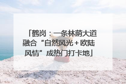 鹤岗：一条林荫大道融合“自然风光＋欧陆风情”成热门打卡地