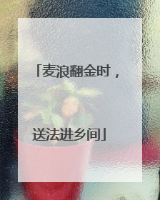 麦浪翻金时，送法进乡间
