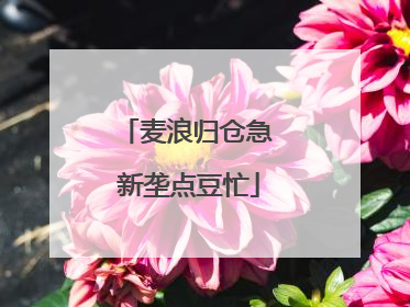 麦浪归仓急 新垄点豆忙