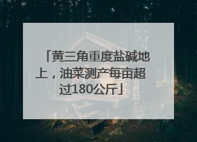 黄三角重度盐碱地上，油菜测产每亩超过180公斤