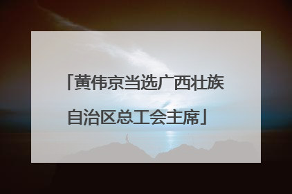 黄伟京当选广西壮族自治区总工会主席