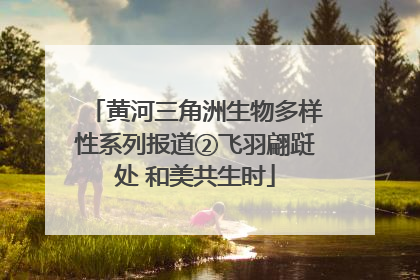 黄河三角洲生物多样性系列报道②飞羽翩跹处 和美共生时
