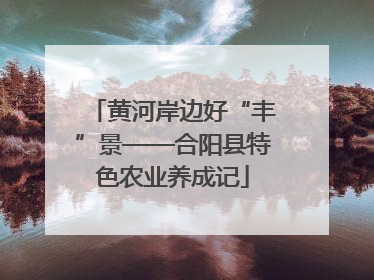 黄河岸边好“丰”景——合阳县特色农业养成记