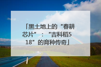 黑土地上的“春耕芯片”：“吉科稻518”的育种传奇
