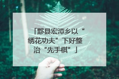 黟县宏潭乡以“绣花功夫”下好整治“先手棋”