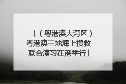 （粤港澳大湾区）粤港澳三地海上搜救联合演习在港举行