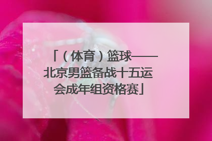 （体育）篮球——北京男篮备战十五运会成年组资格赛