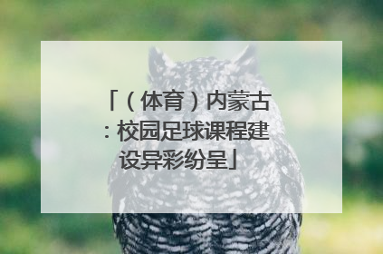 （体育）内蒙古：校园足球课程建设异彩纷呈