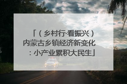 （乡村行·看振兴）内蒙古乡镇经济新变化：小产业累积大民生