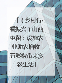 （乡村行·看振兴）山西屯留：设施农业助农增收 五彩椒带来多彩生活