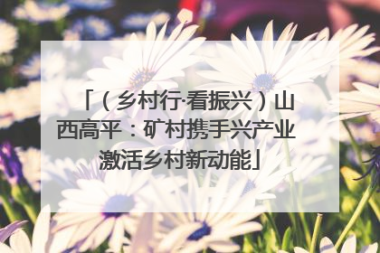 （乡村行·看振兴）山西高平：矿村携手兴产业 激活乡村新动能