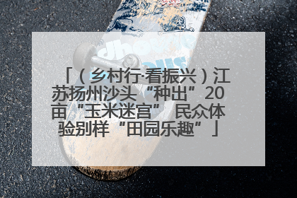 （乡村行·看振兴）江苏扬州沙头“种出”20亩“玉米迷宫” 民众体验别样“田园乐趣”