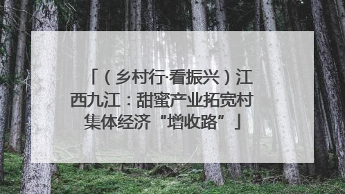 （乡村行·看振兴）江西九江：甜蜜产业拓宽村集体经济“增收路”