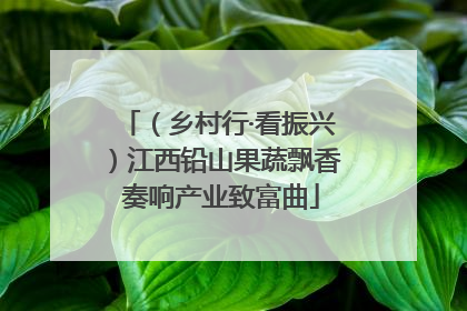 （乡村行·看振兴）江西铅山果蔬飘香 奏响产业致富曲