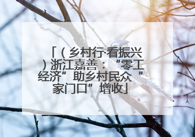 （乡村行·看振兴）浙江嘉善：“零工经济”助乡村民众“家门口”增收