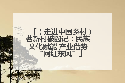 （走进中国乡村）茗新村破圈记：民族文化赋能 产业借势 “网红东风”
