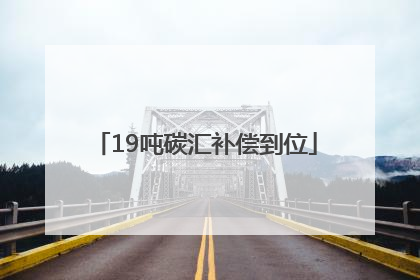 19吨碳汇补偿到位