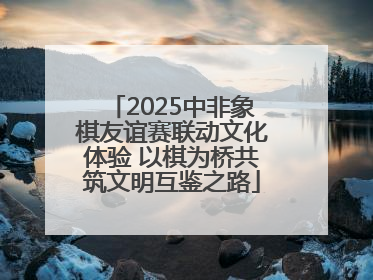 2025中非象棋友谊赛联动文化体验 以棋为桥共筑文明互鉴之路