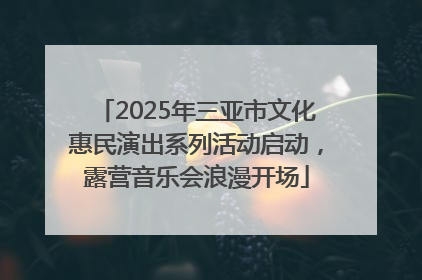 2025年三亚市文化惠民演出系列活动启动，露营音乐会浪漫开场