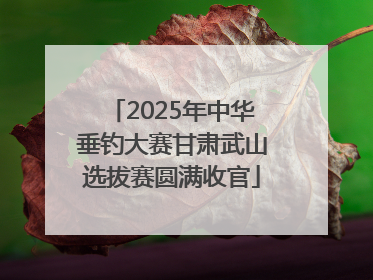 2025年中华垂钓大赛甘肃武山选拔赛圆满收官