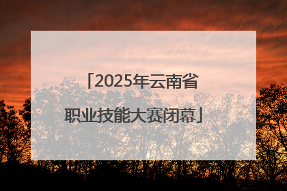 2025年云南省职业技能大赛闭幕