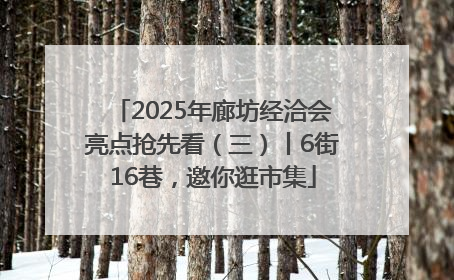 2025年廊坊经洽会亮点抢先看（三）丨6街16巷，邀你逛市集