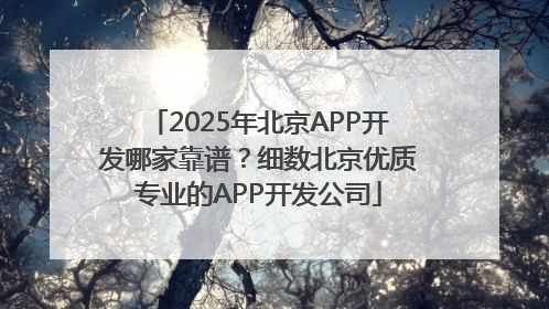 2025年北京APP开发哪家靠谱？细数北京优质专业的APP开发公司