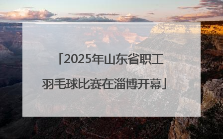 2025年山东省职工羽毛球比赛在淄博开幕