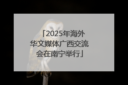 2025年海外华文媒体广西交流会在南宁举行