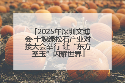2025年深圳文博会·十堰绿松石产业对接大会举行 让“东方圣玉”闪耀世界
