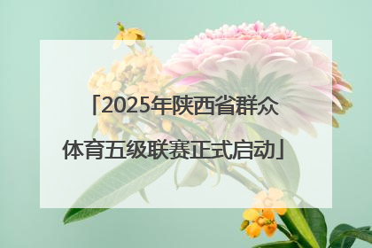 2025年陕西省群众体育五级联赛正式启动