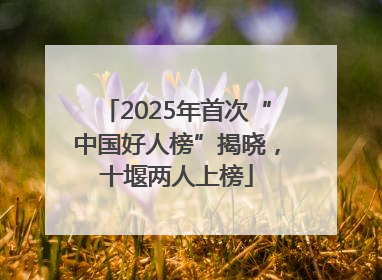 2025年首次“中国好人榜”揭晓，十堰两人上榜