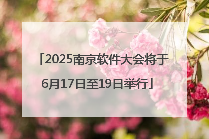 2025南京软件大会将于6月17日至19日举行