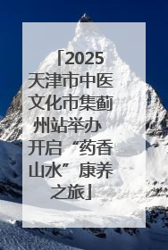 2025天津市中医文化市集蓟州站举办 开启“药香山水”康养之旅