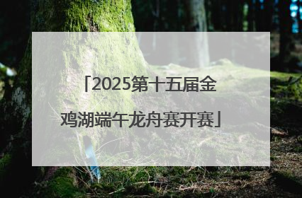 2025第十五届金鸡湖端午龙舟赛开赛