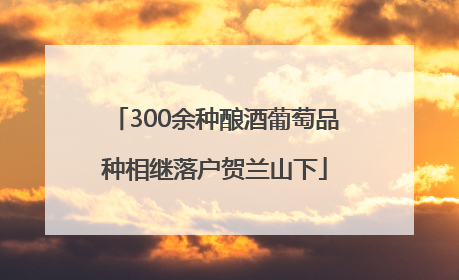 300余种酿酒葡萄品种相继落户贺兰山下