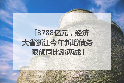 3788亿元，经济大省浙江今年新增债务限额同比涨两成