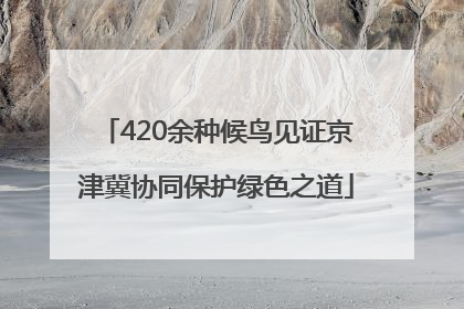 420余种候鸟见证京津冀协同保护绿色之道