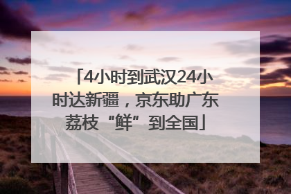 4小时到武汉24小时达新疆，京东助广东荔枝“鲜”到全国