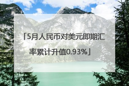 5月人民币对美元即期汇率累计升值0.93%