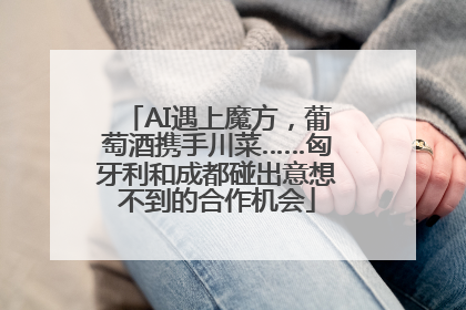AI遇上魔方，葡萄酒携手川菜……匈牙利和成都碰出意想不到的合作机会