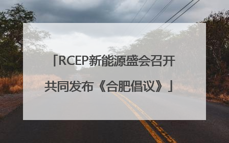 RCEP新能源盛会召开 共同发布《合肥倡议》