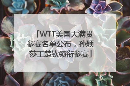 WTT美国大满贯参赛名单公布，孙颖莎王楚钦领衔参赛