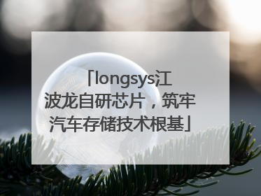 longsys江波龙自研芯片，筑牢汽车存储技术根基